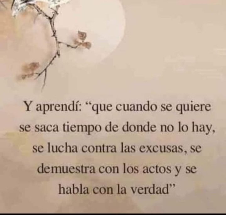 Buenas noches ✨️