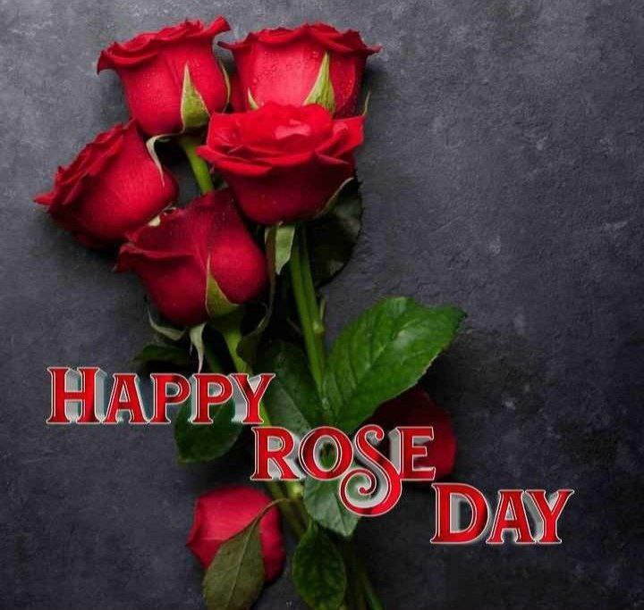 "Celebrating love and beauty today. Happy Rose Day to all! 🌹🥂"