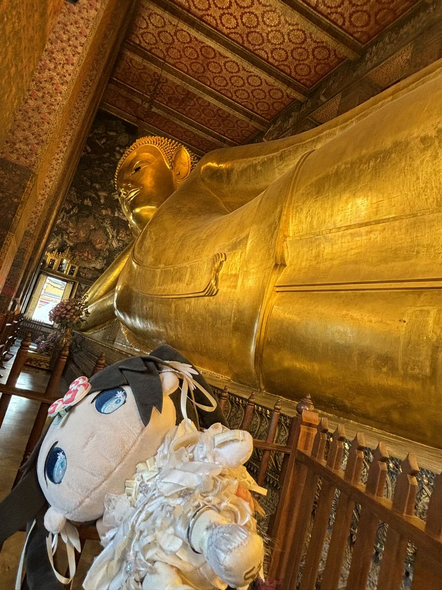 brolliologist's tweet image. 正解は、ワットポーでした〜！
と言うわけでもち峰と共にタイに来てます〜！

\ﾓｯﾓｯﾓ~（ｻﾜｯﾃﾞｨｰｶ~）/