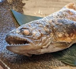 DenverTransfer's tweet image. 深夜にショッピングする 👼