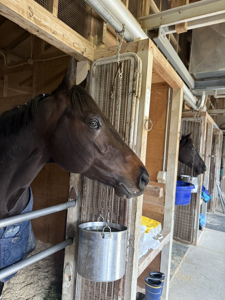 きんちん (@KiNCHiN_7105) / Posts / X