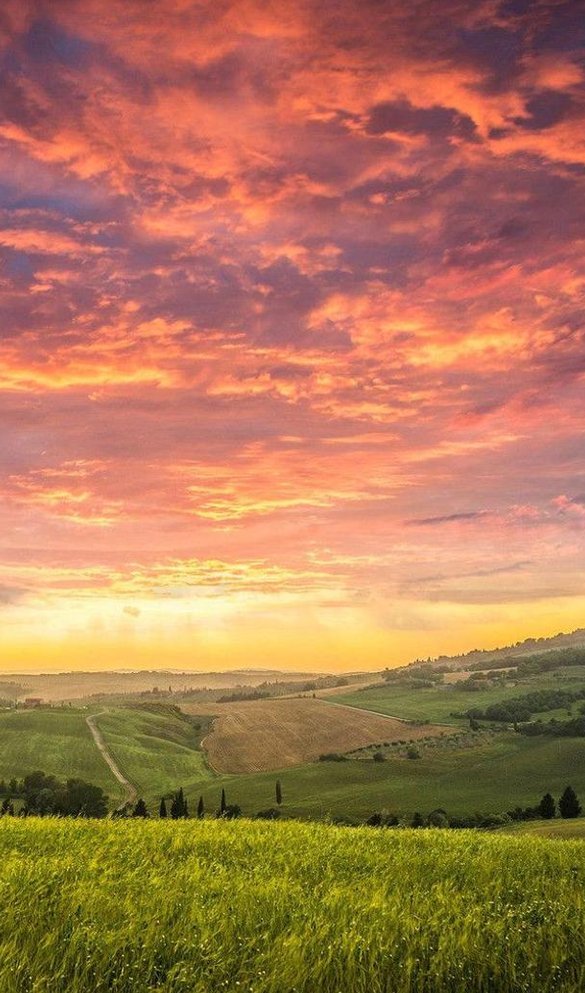 Forman8's tweet image. 空が速い 👨‍👩‍👧‍👦