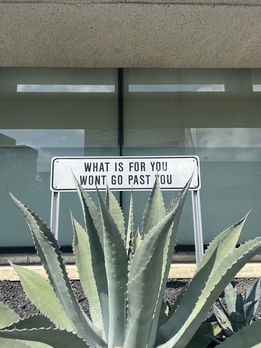 zoë 🌧️ tweet media