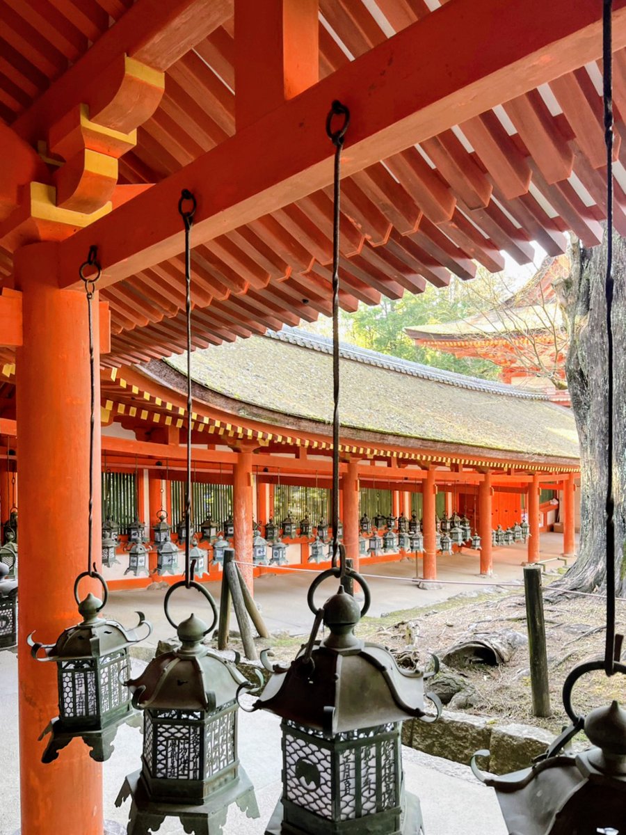 une_rose49's tweet photo. ⛩️Kasuga Taisha Shrine,Nara⛩️

朱色の社殿と灯籠が連なる奈良・春日大社。
奈良を訪れたら、ぜひ足を運びたくなる神社の一つ✨

#KasugaTaisha #NaraJapan #VisitJapan  
#JapanTravel #JapanPhotography  
#ShintoShrine 
#奈良 #春日大社 https://t.co/d0R8lpdgPN