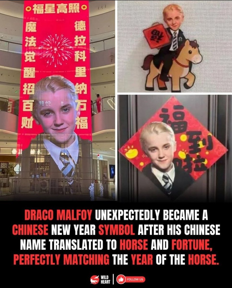 bingwusolana's tweet image. Even @TomFelton knows! Malfoy has become the "Horse Fortune" mascot for 2026. 🧧 

Malfoy = Ma (Horse) + Fu (Fortune). 🐎💸
2026 = Year of the Fire Horse. 🔥
$BINGWU = The play of the year. 📈 

Sticking Malfoy on your door for luck? 🧧 Why not hold the Fire Horse in your wallet?…