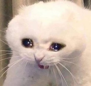 score727's tweet image. 過去が短い 😅