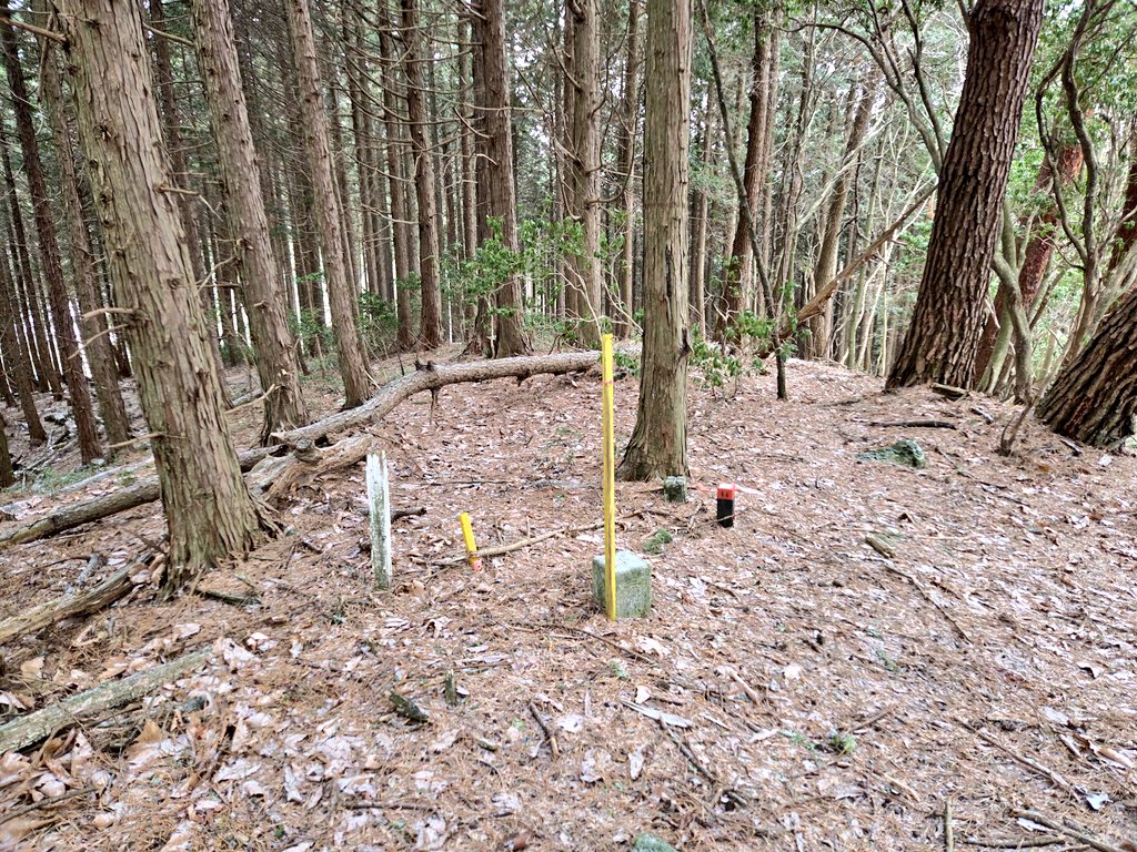 JL3MNP🗻🏕️🎣シガAY48 kaz tweet media