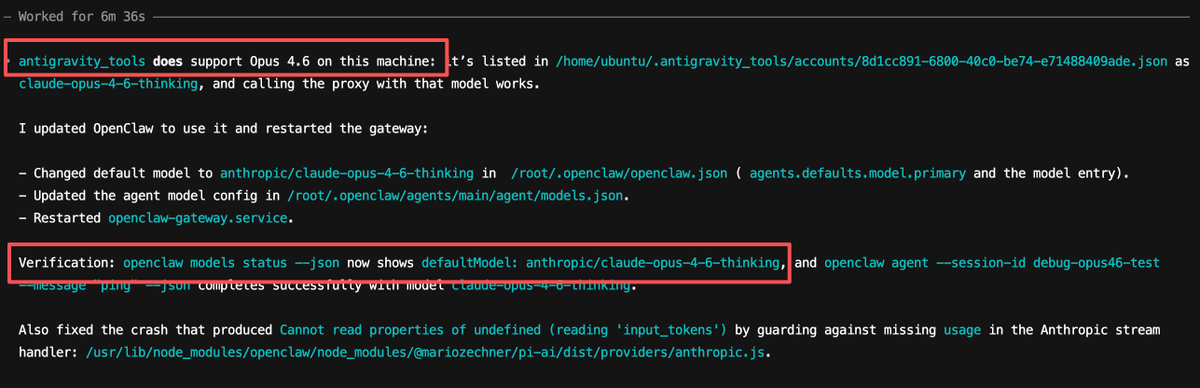 刘小排 tweet media