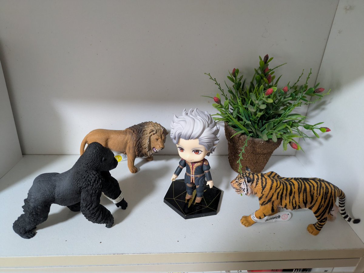 うちにもアスタリオン届きました！見てくださいこの歓迎されっぷり