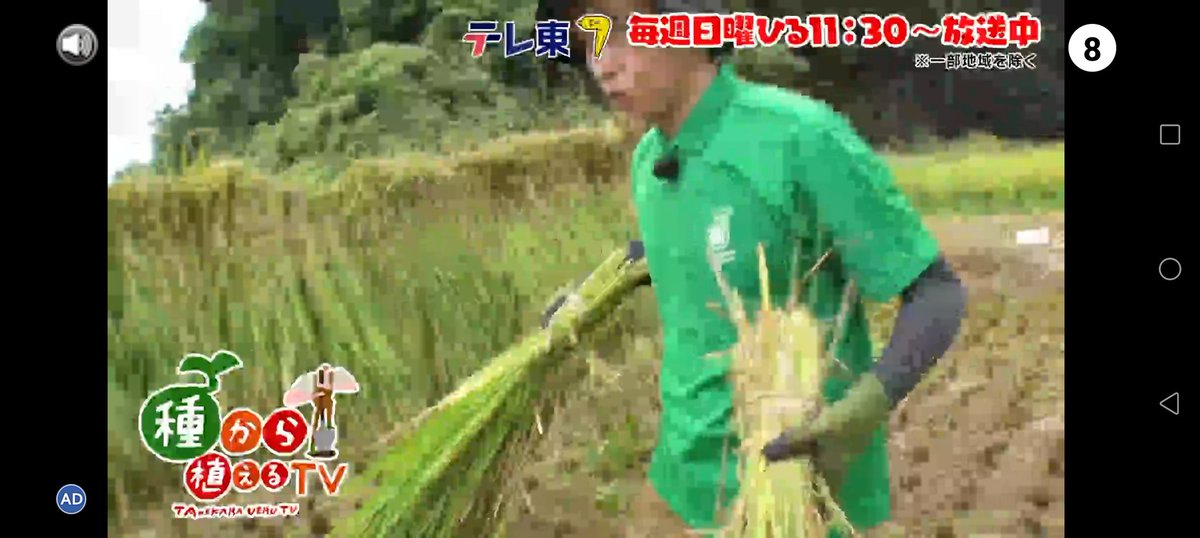 🇬🇭🤖カ☆パ♨️🦈 tweet media