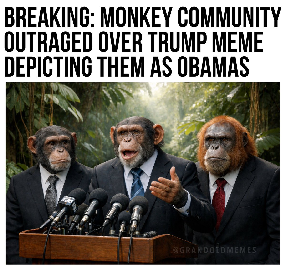 OldeWorldOrder's tweet image. 🚨 BREAKING: Monkey community OUTRAGED over Trump meme depicting them as Obamas