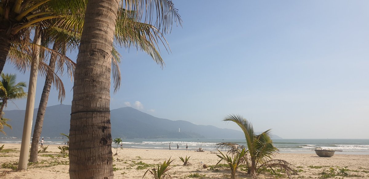 Pontuslundin5's tweet photo. Enjoying the peace under the palmtrees 😎🧡 have a great weekend🖖 https://t.co/OohJJAuzku