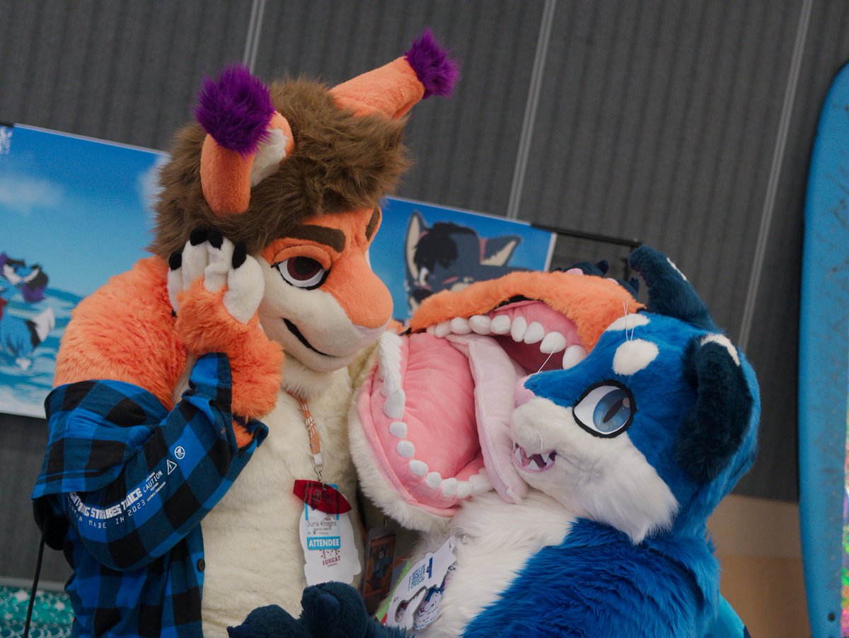 junk_knight's tweet photo. Finally got alotta pics from #FC2026 ser some of yhe adorable furs I met!! (Sadly cant find the blue cat) https://t.co/nIAQgMH3aV