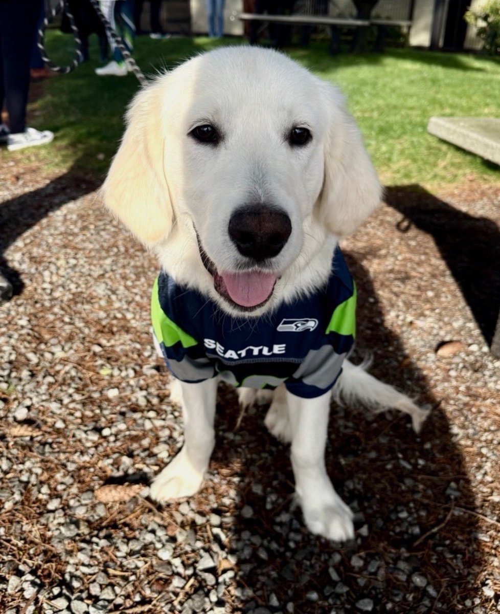 EpicFreedom1's tweet photo. @GuntherEagleman Let’s go @Seahawks ! 💙💚 https://t.co/2SGP6dI11d