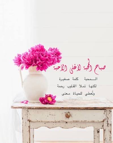 صـبـ🌤ـاح الـ🌹ـورد لـمـن يـطـيـب بـهـم الـصـبـ🤍ـاح .. •°💛•° 

#صباح_الخير 
#صباح_الخير_والسعاده 
#صباح_الأشياء_المُشرقة