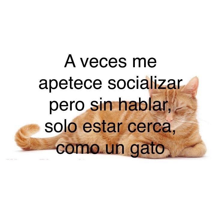 lIleyan (@iileyannnn) on Twitter photo 