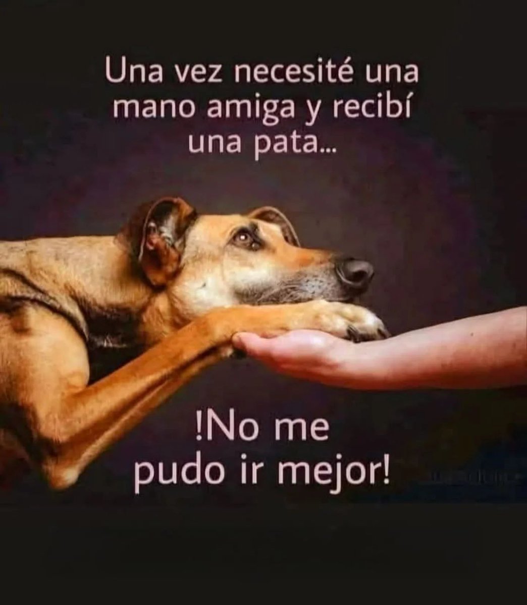 Rincón Curioso tweet media