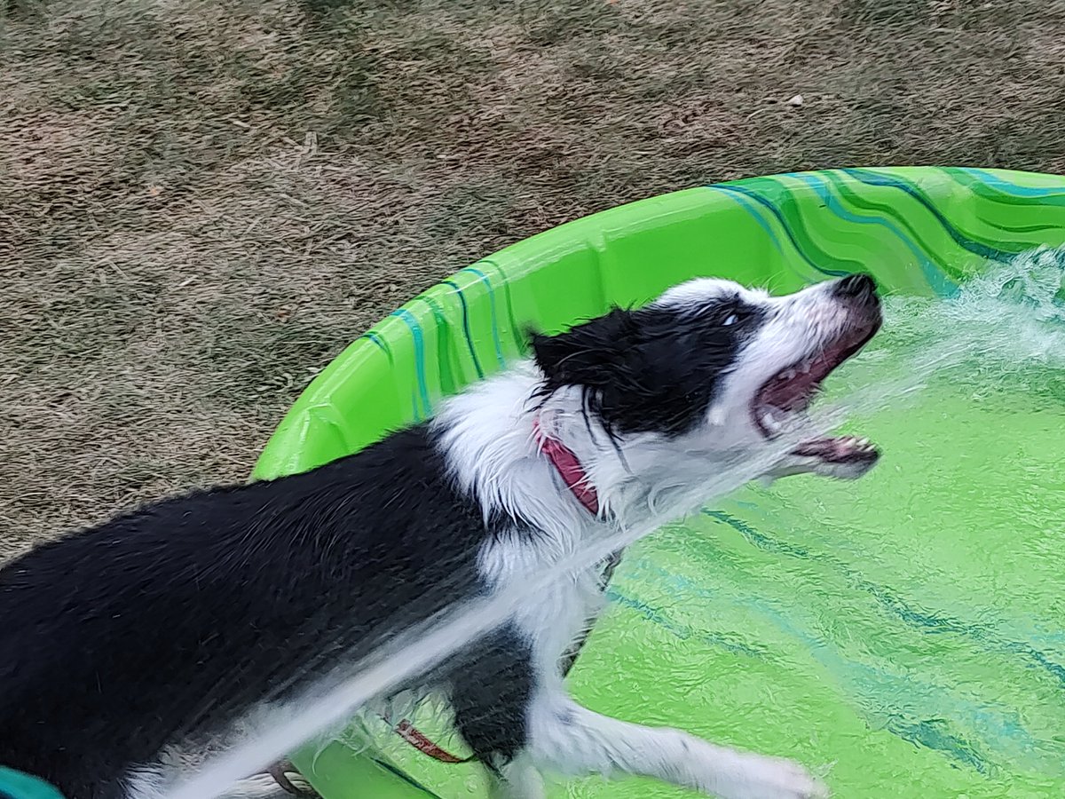 Lefties, the only people in their right mind! tweet media