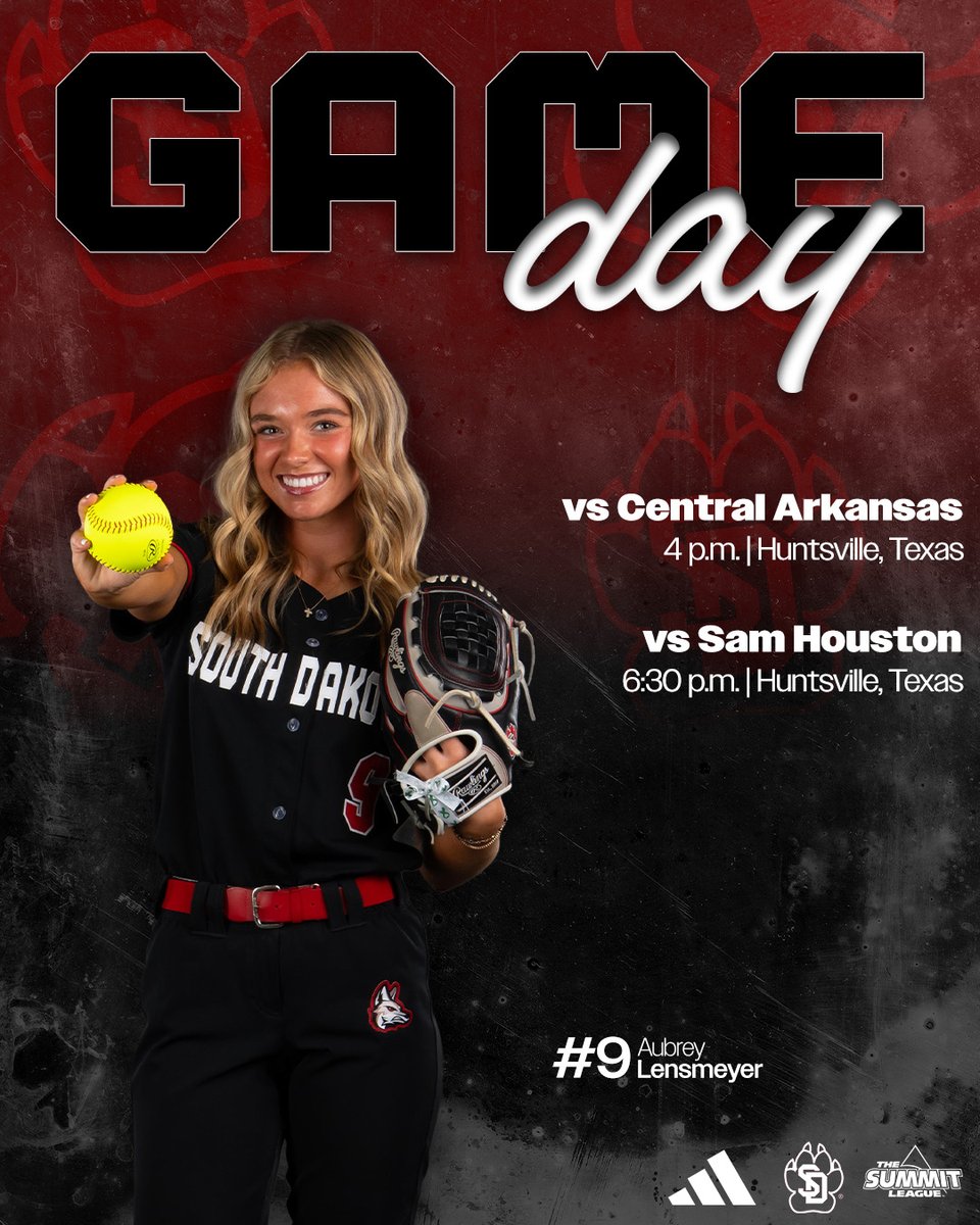 South Dakota Softball tweet media