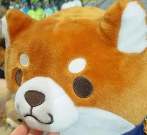 deewagh's tweet image. 車はどうのかな？ 🚶‍♂️