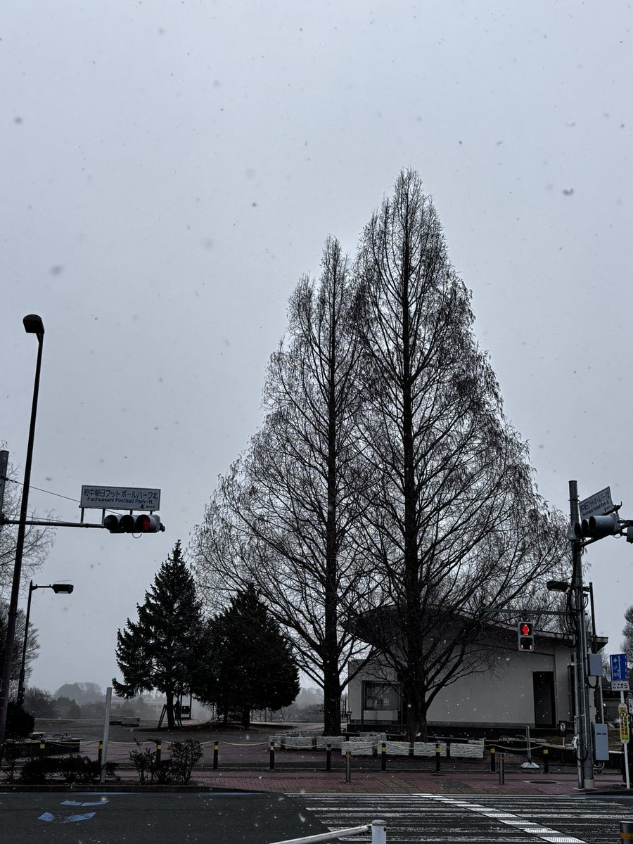 ミィィイナ tweet media