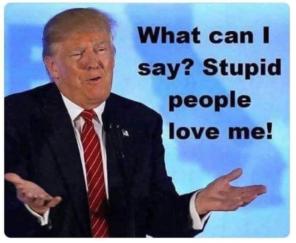 Thomas & Alito's Supreme Vacation Fund tweet media