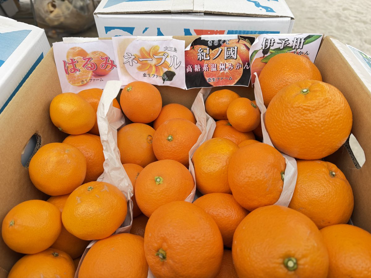 はなまる／hanamaru (@hanamaru_satoch) / Posts / X