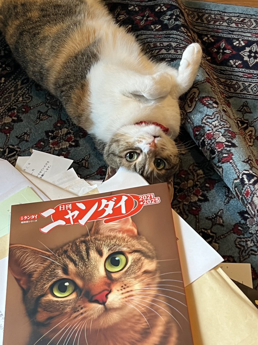 こちら、表紙がもろAIなのはなんとかならなかったのかしら。特定のねこ