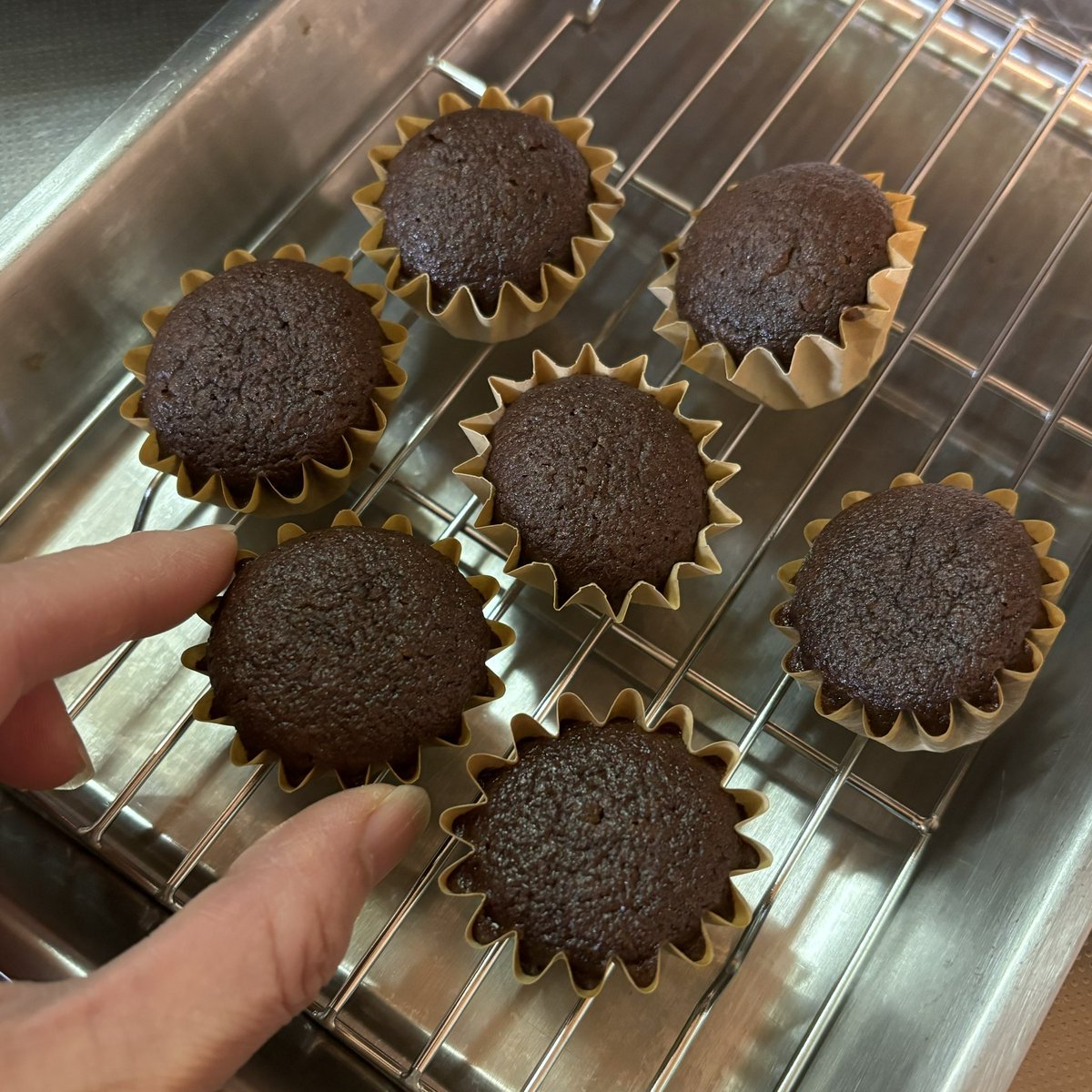 yorisoukurashi's tweet photo. ミニカップケーキを焼くじゃろ？
チョコあ〜んぱんと合体させるじゃろ？
耳をつけてチョココーティングしたらちっちぇえたぬきケーキが出来るんじゃよ🙌 https://t.co/LB9C0asdVi