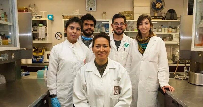 Kekius_Sage's tweet image. 🚨 Human Papilloma Virus (HPV) can now be completely eliminated, thanks to Mexican researchers