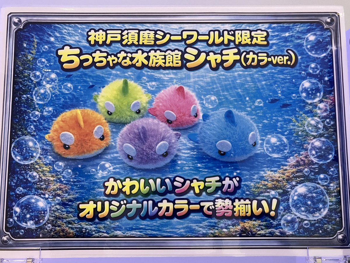 ちっちゃな水族館にカラフルシャチが登場したぞー🩷💜💚💙🧡 #神戸須磨