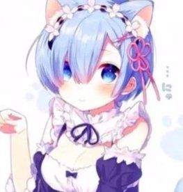 HolyOf's tweet image. 猫に立つ 🦍