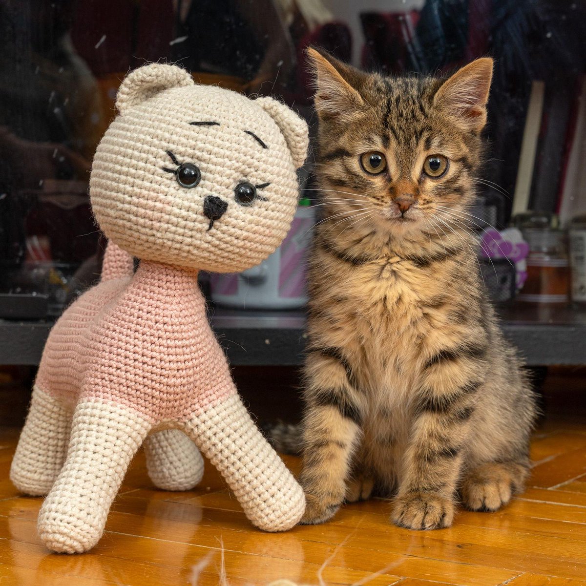 Cin Ali yine gecenin köründe parka bırakılan bir bebek herkesten yardım istiyordu hastaydı patileri buz kesmişti. İyi besleme ve bakımla 2 haftada topladı. İlan ile ilgilenenler semt , yaş,meslek,varsa çocuklarının yaşlarını WHATSAPP üzerinden  Kadıköy 05322351532