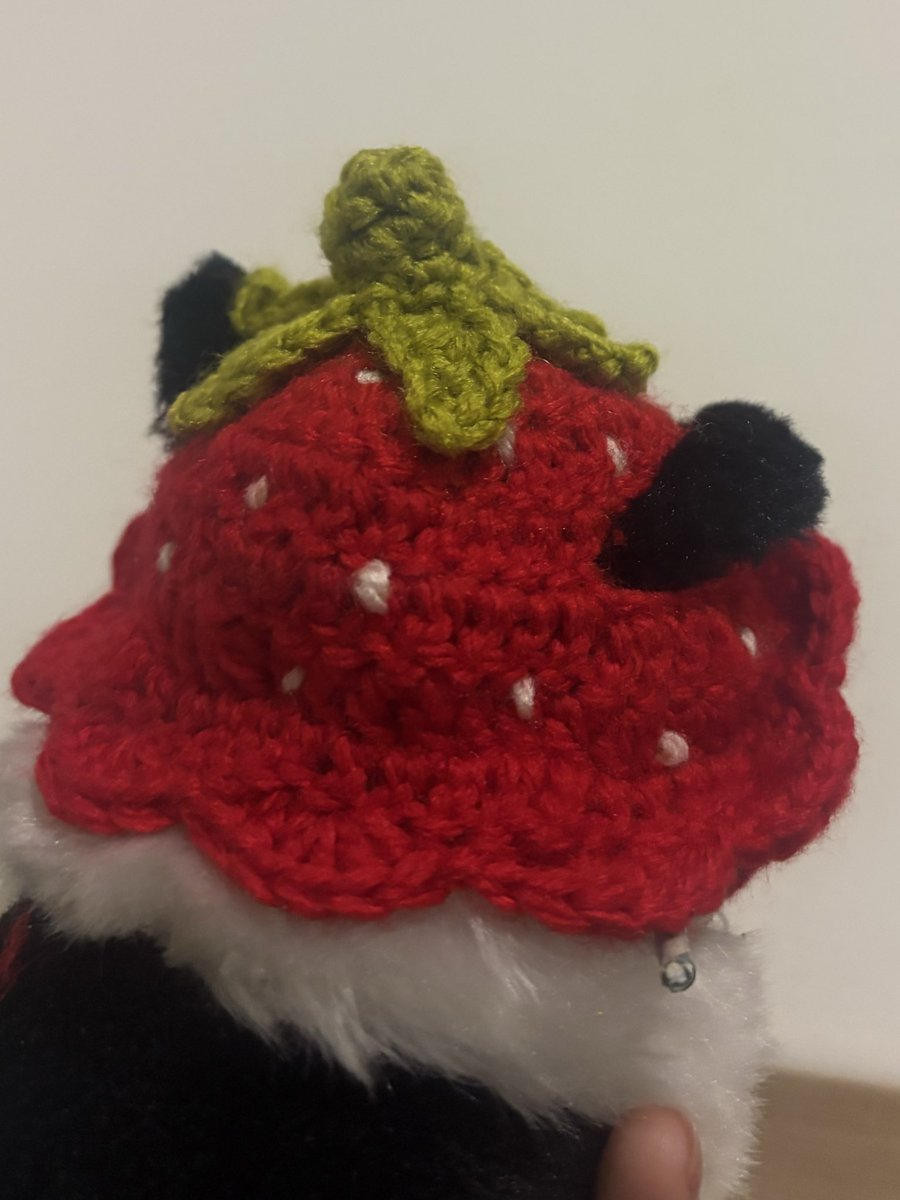 jurika01's tweet photo. 時期的にもいちごの帽子作ってみた🍓
いろは可愛いね
編み物楽しい🧶 https://t.co/jePn3bYnU9