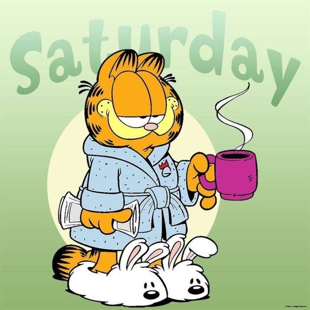 PositivitySaid's tweet photo. Saturday https://t.co/CxX4zU5XDw