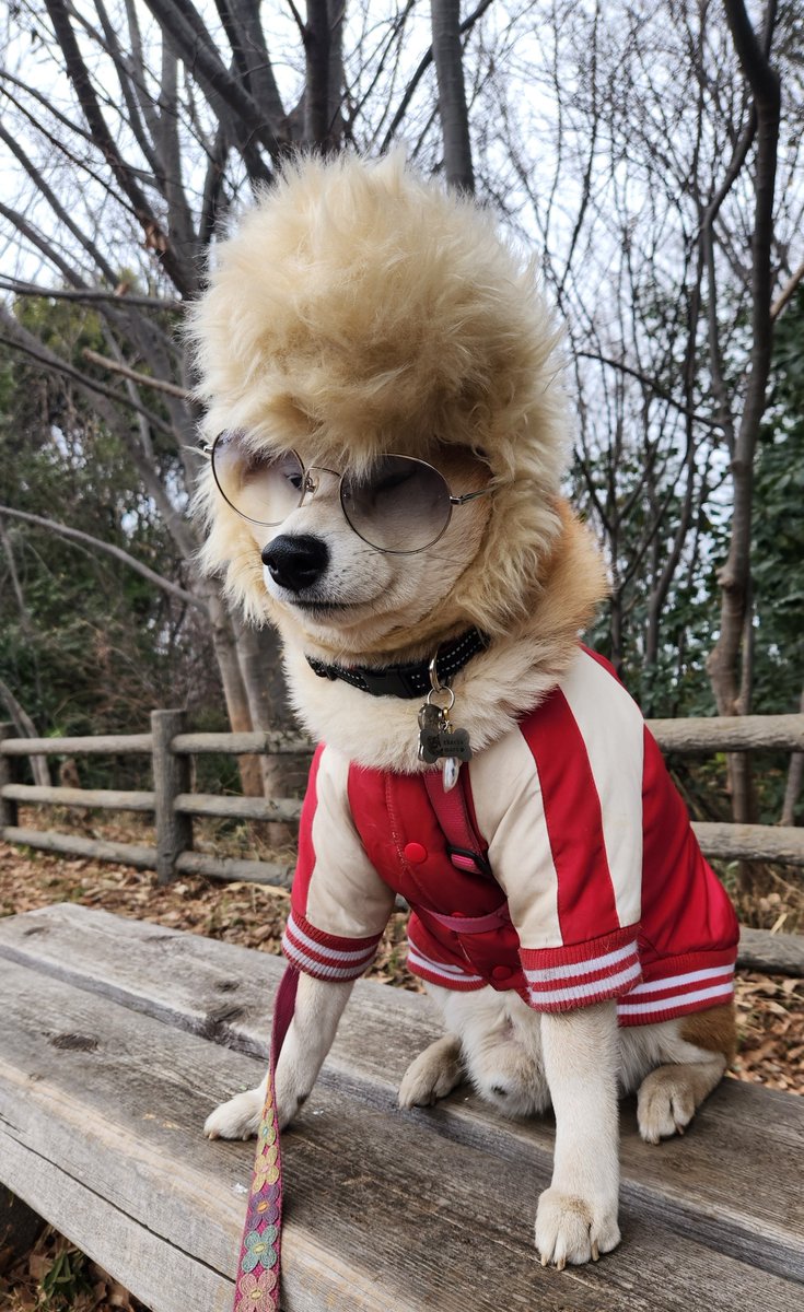 ペコ丸 (@pekotaro930) / Posts / X