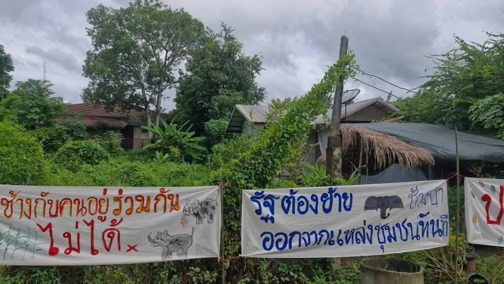 TifFaNy_9member's tweet image. ค่อนข้างตลกที่บอกว่าไม่ต้องการอยู่ร่วมกับช้างป่า แต่ที่เอาป้ายผ้ามาติดอ่ะด้านหลังเป็นป่าทั้งนั้น

#สีดอหูพับ 
#โหนกระแส