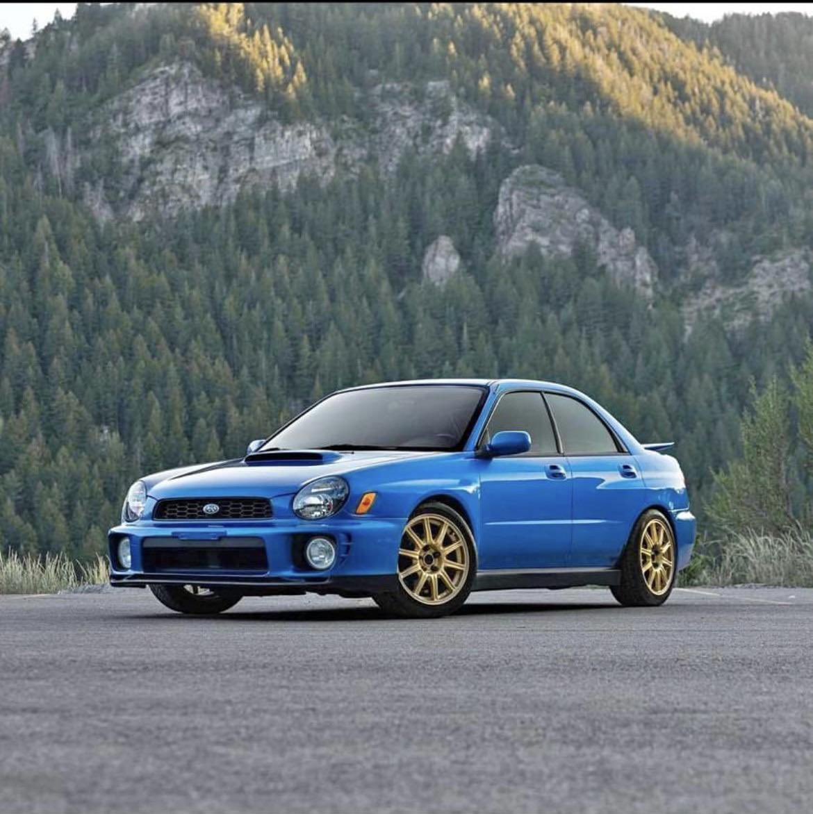 Peter Kennedy tweet media