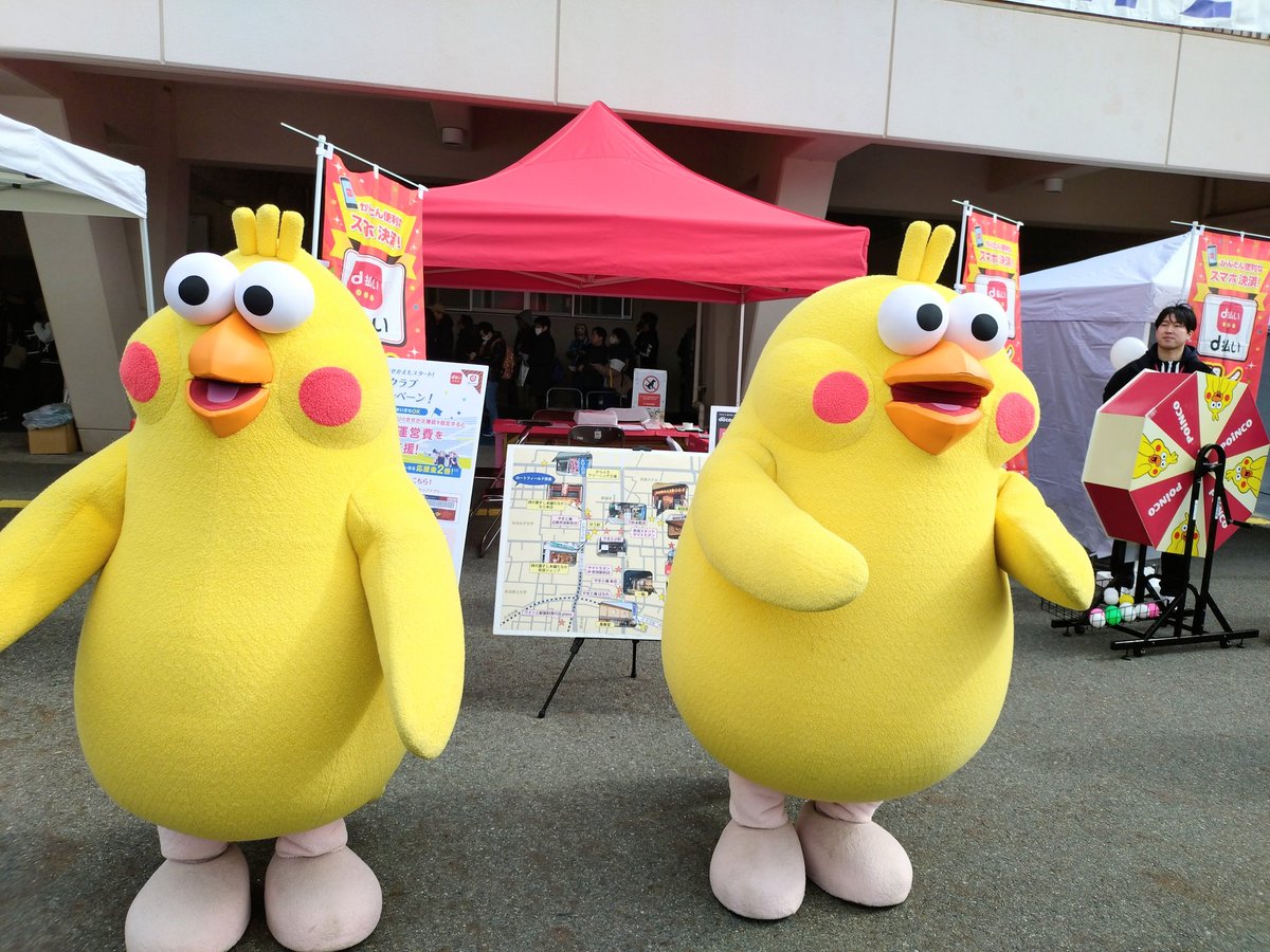 ポインコと山歩き🐥🐥🐾 (@paopaopanda_jp) / Posts / X