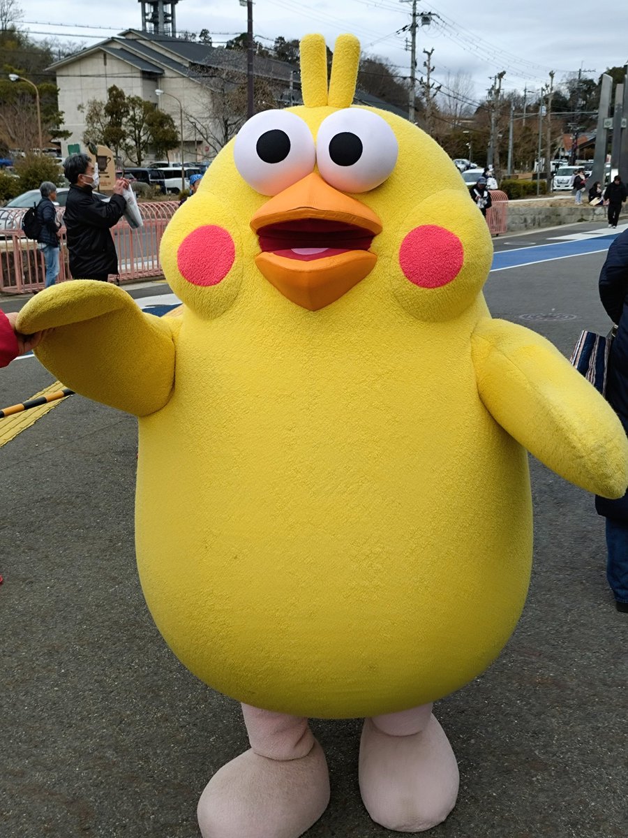 ポインコと山歩き🐥🐥🐾 (@paopaopanda_jp) / Posts / X