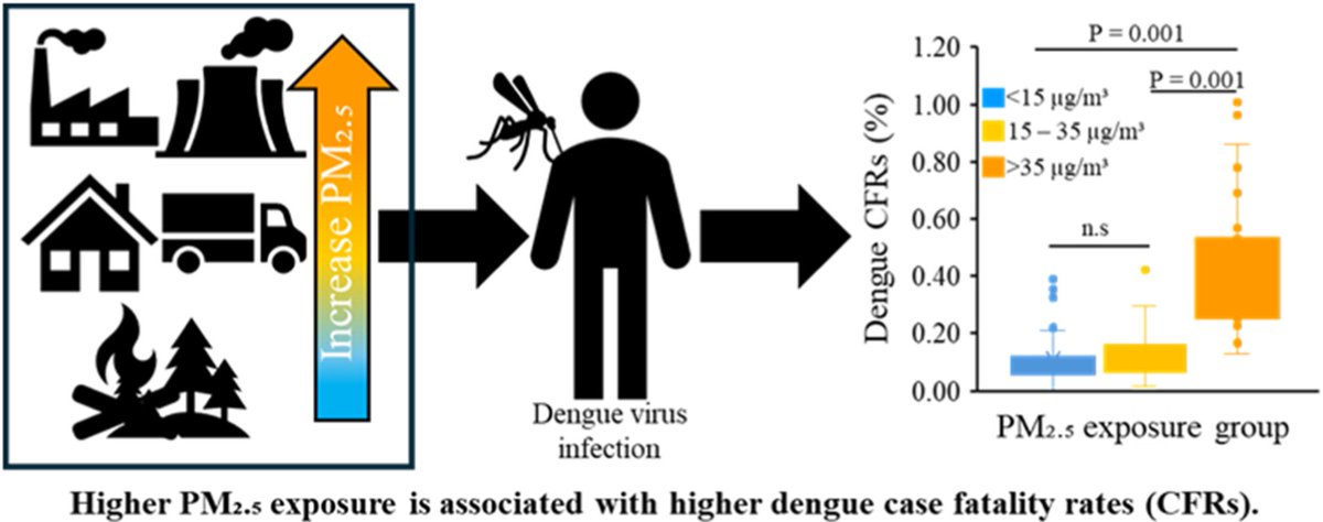 mnhasan5847's tweet photo. 🌫️ Countries with PM2.5 >35 μg/m³ had 3–5× higher dengue case fatality rates than those with PM2.5 <15 μg/m³ (p<0.001).
✨ Among the first global studies linking air pollution to dengue severity.
💡 Cleaner air may save lives during dengue outbreaks. https://t.co/zAsPNTzeeV