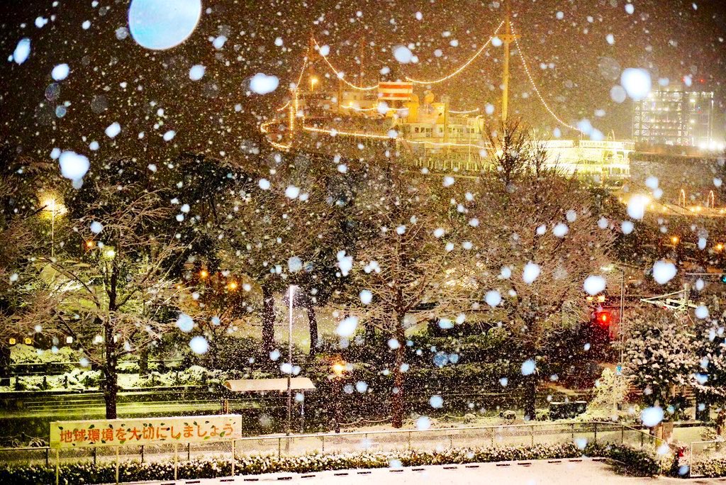 雪予報なのでとても大切なこと言います！
「雪の写真はフラッシュで盛れる」