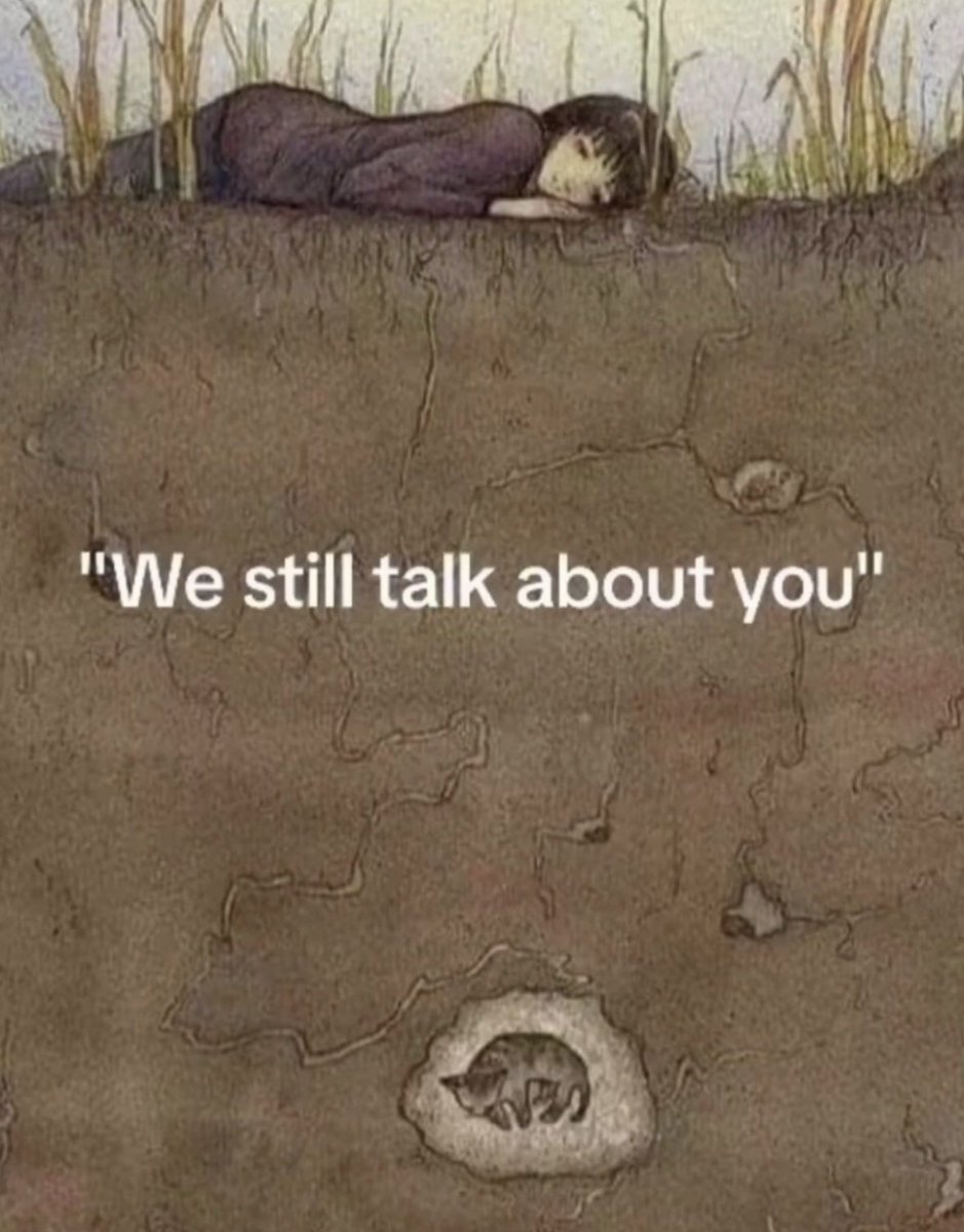 place where car shouldnt be (@carshouldnt) on Twitter photo 