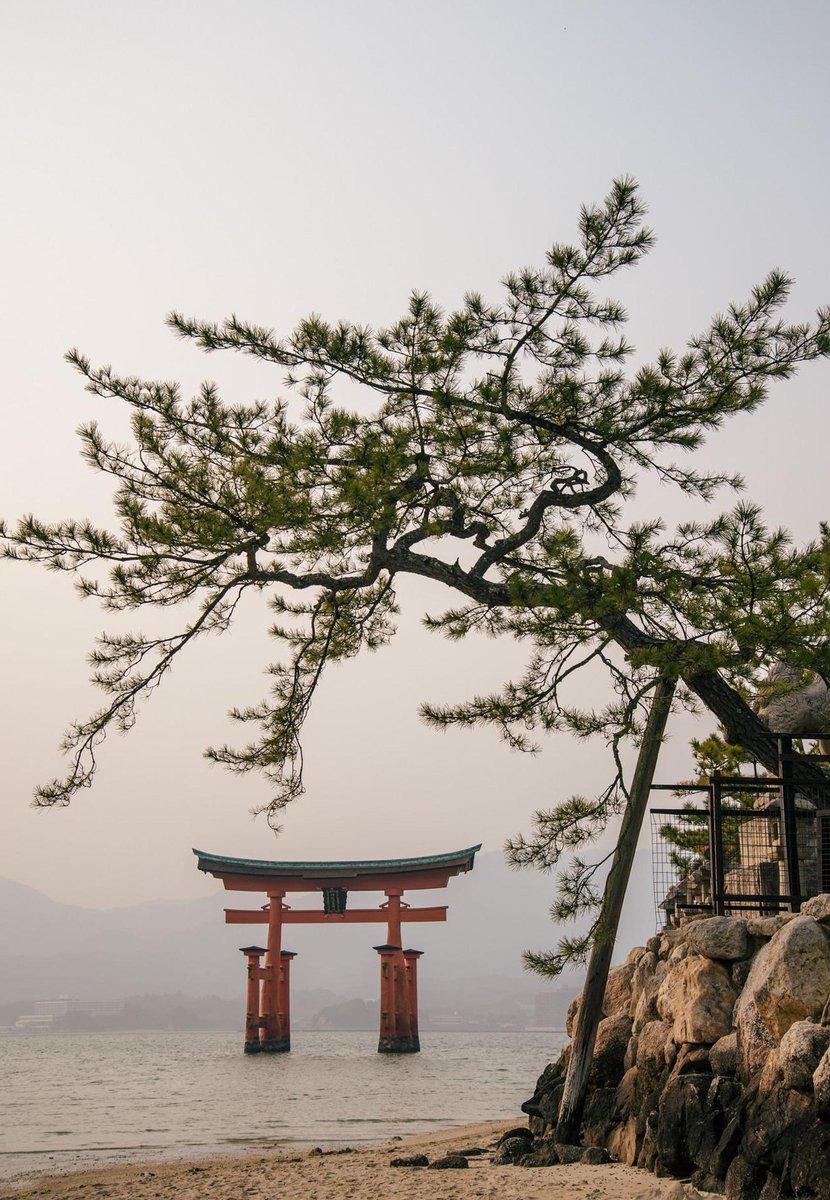 sassogram's tweet image. 21人 ⛈️