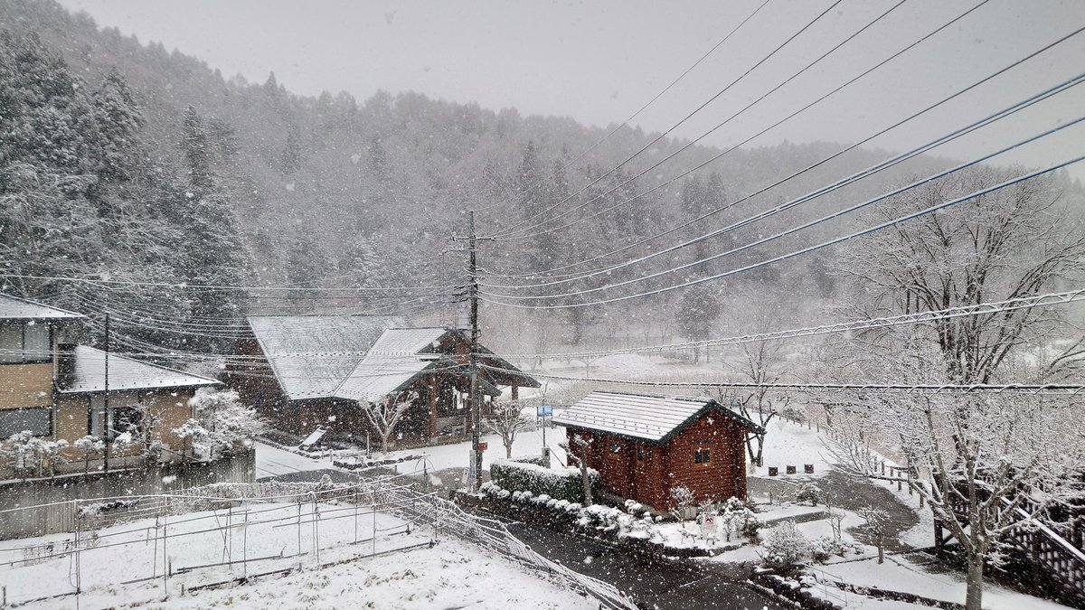 rio_u130's tweet photo. 雪❄ https://t.co/cUSVXI6Ue6