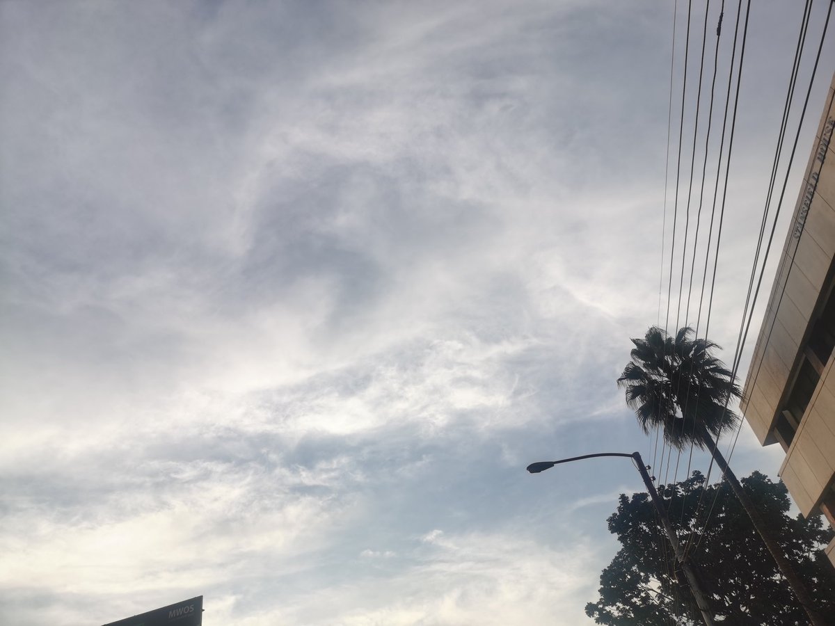 Count-i🇲🇼 tweet media