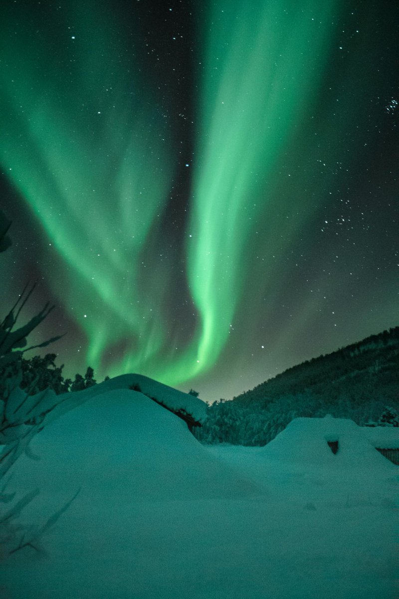 fascinatingonX's tweet photo. Winter northern lights ❄️💚 #AuroraBorealis https://t.co/MnPlZo3gYD