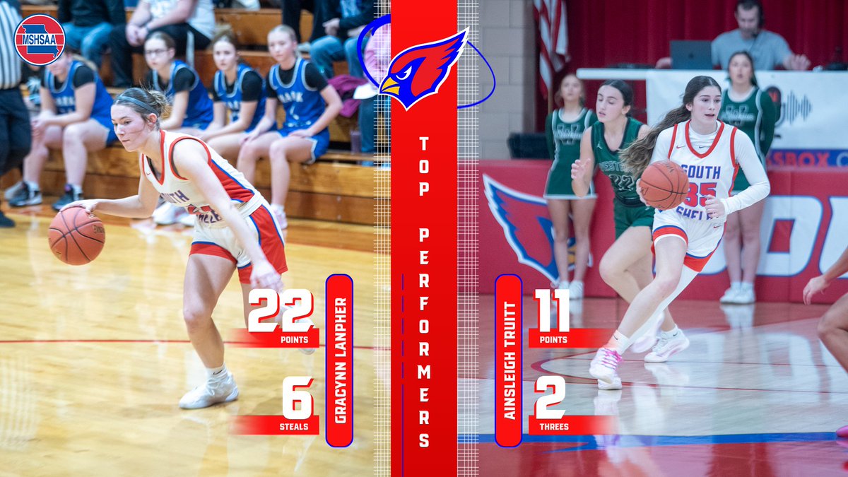 SS Ladybirds Basketball tweet media