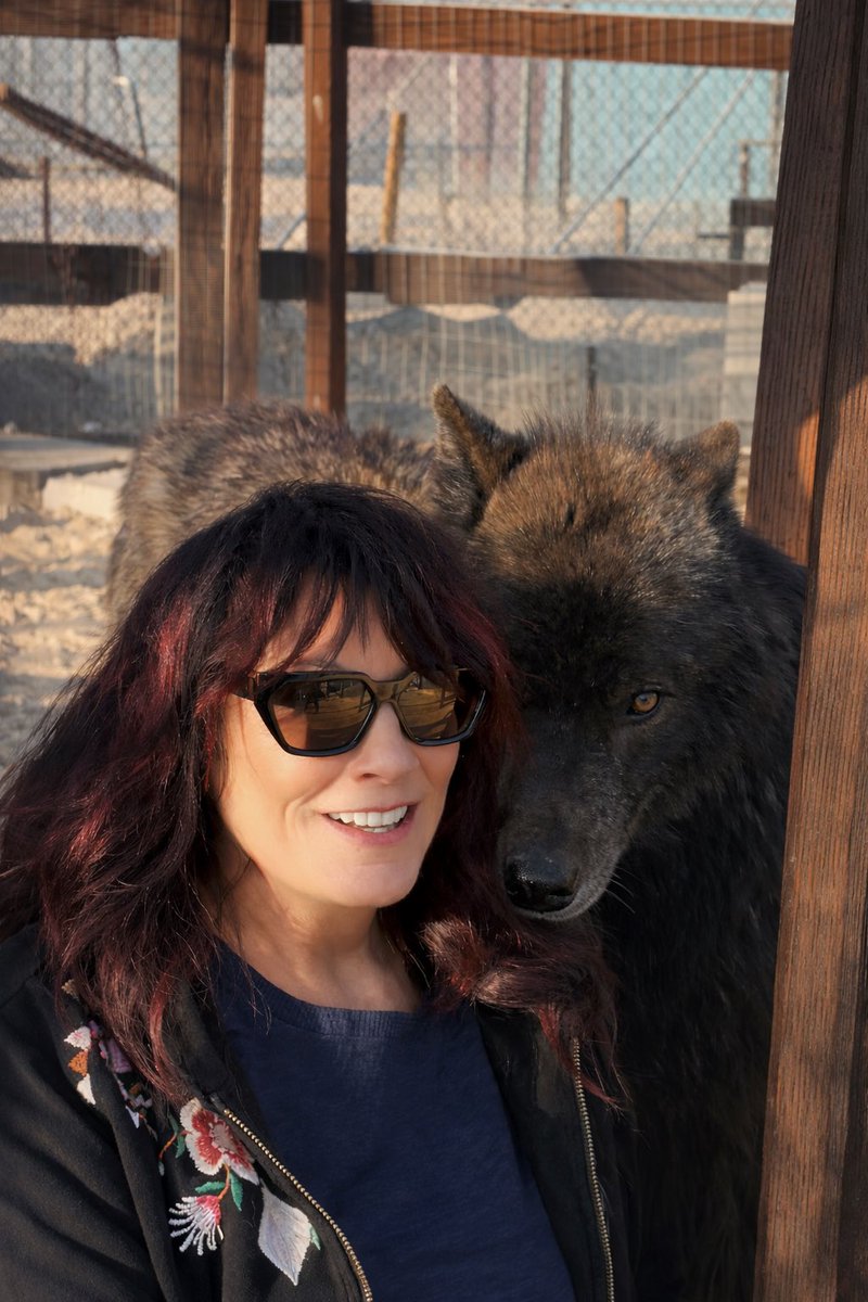 MeredithBrooks tweet media