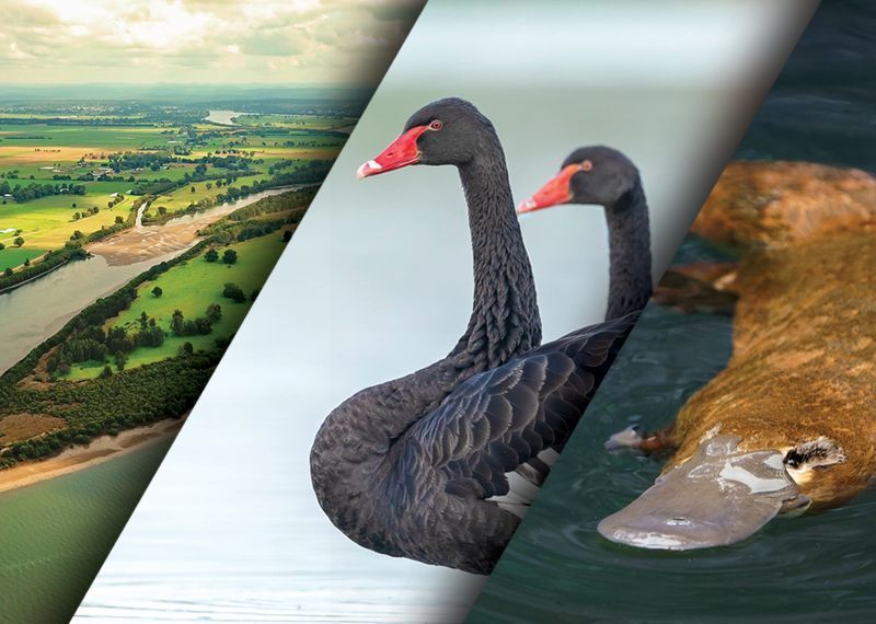 Contributions are open for the performance audit assessing the Urban Rivers and Catchments Program anao.gov.au/work/performan…